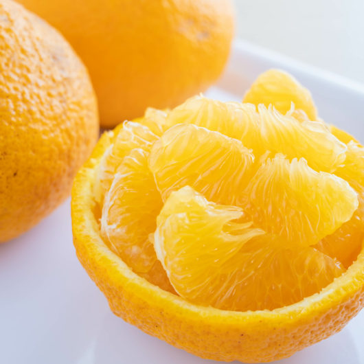 フルーツ/果物入りパウンドケーキ