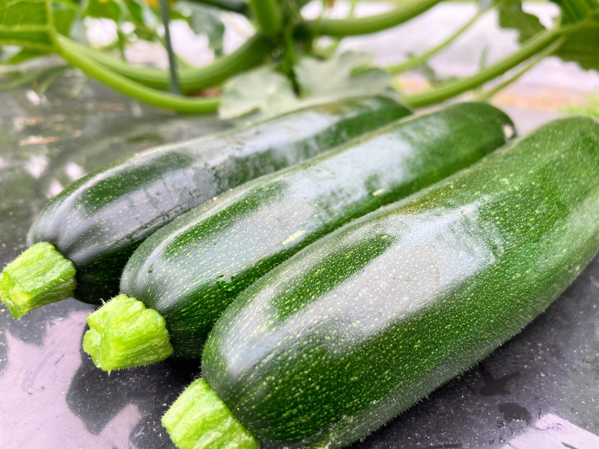 5個セット<個包装>・米粉【米麹発酵パウンドケーキ】 - 画像 (5)